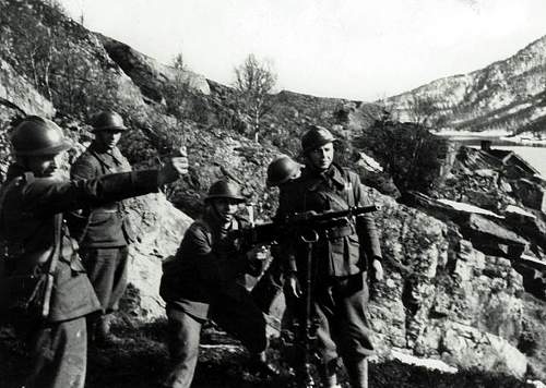 French army during the battle of Narvik